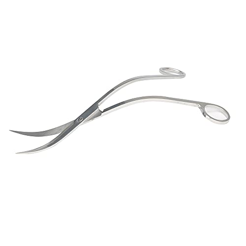 Trimming Made Easy Find the Best Aquarium Scissors for Your Aquatic Plants Top 10 Review and