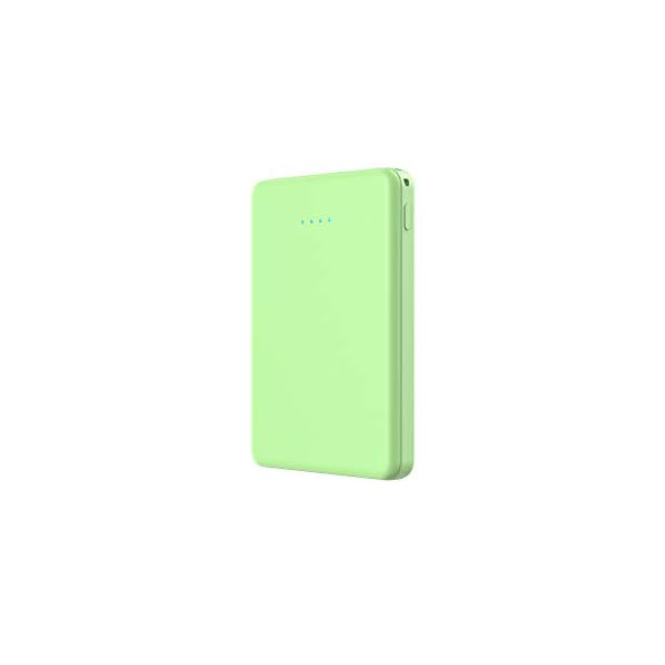 VANYUST Mini Power Bank,Portable Charger 5000mAh Capacity External Battery Pack Dual Output Port with LED Status Indicator Power Bank for iPhone, Samsung Galaxy, Android Phone,Tablet & etc (Green)