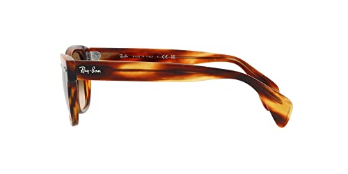 Image of Ray-Ban RB0880s Square Sunglasses