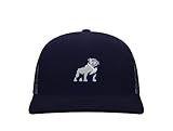 Sport Your Gear Samford Bulldogs Mid Profile Adjustable Snap Back Trucker Baseball Hat Cap