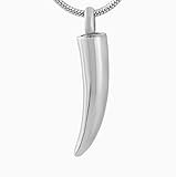 Hermoso collar colgante de acero inoxidable. Recuerdos de cremación ideales, no importa dónde se encuentre, puede usarlos con sus seres queridos.