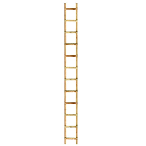 Outifrance 8833030 Echelle de toit en Bois 3,00 m/12 échelons entraxe 25 cm