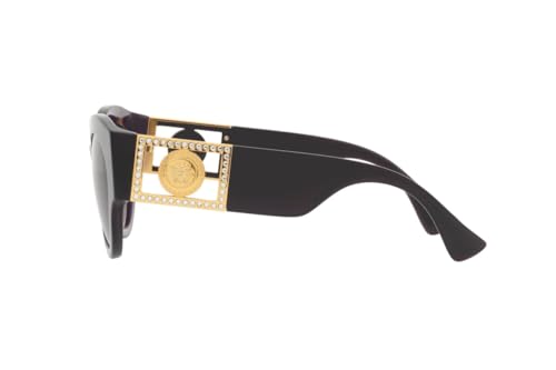 Versace Sunglasses VE 4438 B 53847N Transparent Plum Purple Brown3