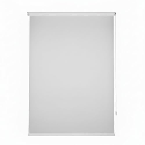 Estor Enrollable Translúcido Liso, 100% Poliéster 220gr/m2, Mecanismo Cadena con Seguridad Infantil, Instalación Pared, Permite Paso de Luz y Privacidad (Gris Claro, 90X200CM)