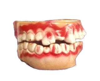 MPS My Party Suppliers Halloween Decoration Theme Costume Party, Fake Teeth for Halloween Makeup Real, Vampire Zombie Teeth with Blood Splattered, Bloody Artificial Denture Prop for Halloween