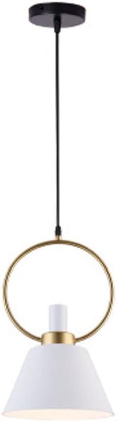 Lampe suspendue cylindre en métal et cuir LED colorée pour chambre et dîner