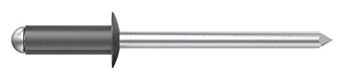 Desa 7504812N Rivet al/AC Lacquered 4.8x12 Black-Pack of 500 pcs, Grey