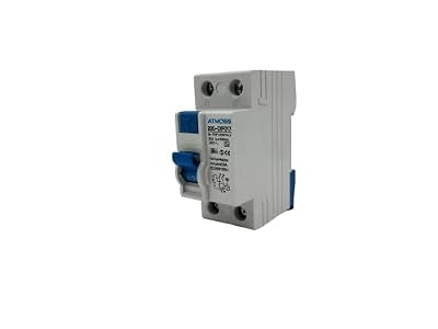 Interruptor diferencial superinmunizado SI, 300 mA, 2P, 40 A, Clase A, sensibilidad 300mA, RASMACOR