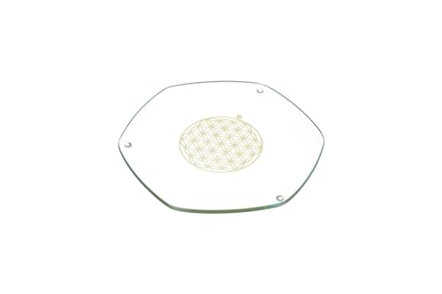 Natures-Design Energy Plate, 22 cm