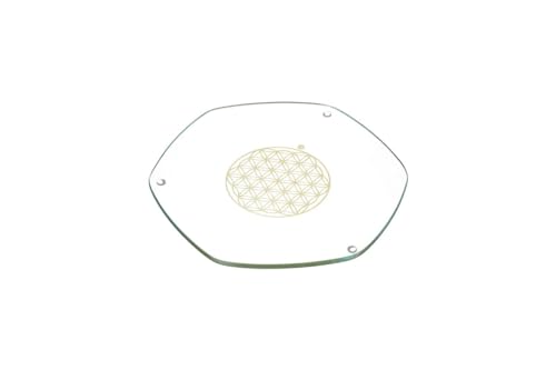 Energy Plate 22 cm