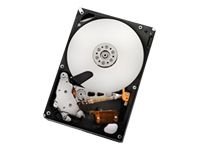 Hitachi – HGST Ultrastar A7K2000 1TB HDD