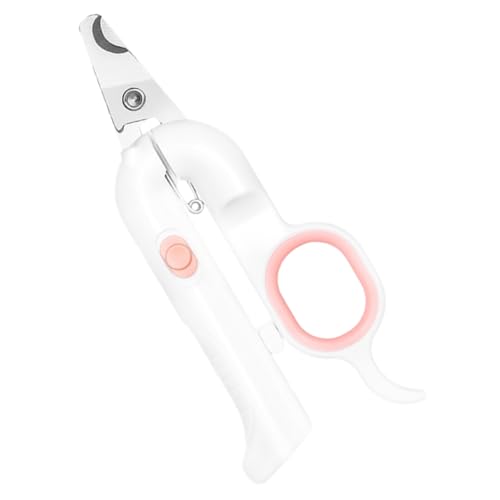 PartyKindom p t ؂  pg}[   h ݌v fUC