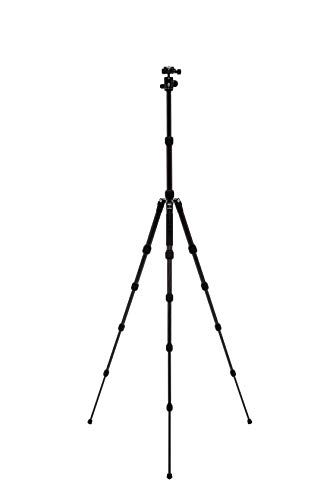 Benro Tripster Travel Tripod/Monopod - 0 Series Black Cf (Ftr09Cb00Gblk) #TOP3