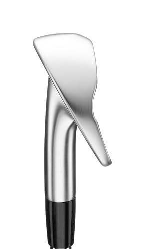 Mizuno Pro 245 Irons