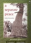 A Separate Peace