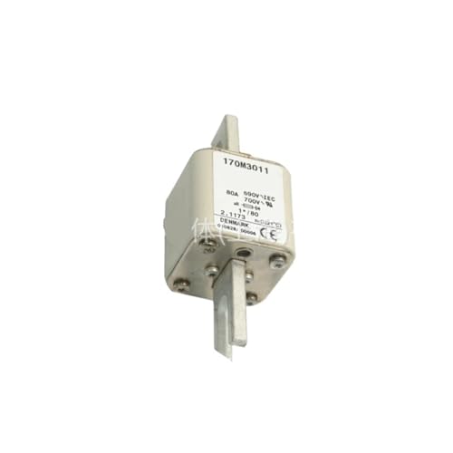 Fusible en céramique 170M3013 pour protection actuelle de composant électronique