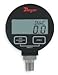 Dwyer Instruments, Inc. DPGW-09 1/4
