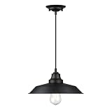 Westinghouse 6132300 Iron Hill Vintage-Style One...