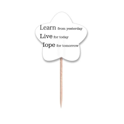 Drapeaux cure-dents Étoiles Learn Live Hope pour décoration et picks de cupcake Art Déco