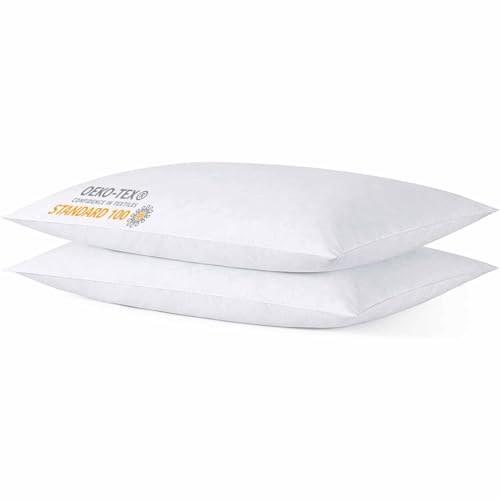 iFaon Thin Flat Slim Ultra Soft Bed Pillows Standard Size Set of 2 Pack for Sleeping, Bed Pillow for...