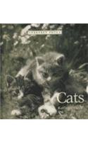 Cats (Perfect Pets) 0761407944 Book Cover