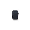 Bluesound Pulse Flex 2i Draadloze Luidspreker – Zwart