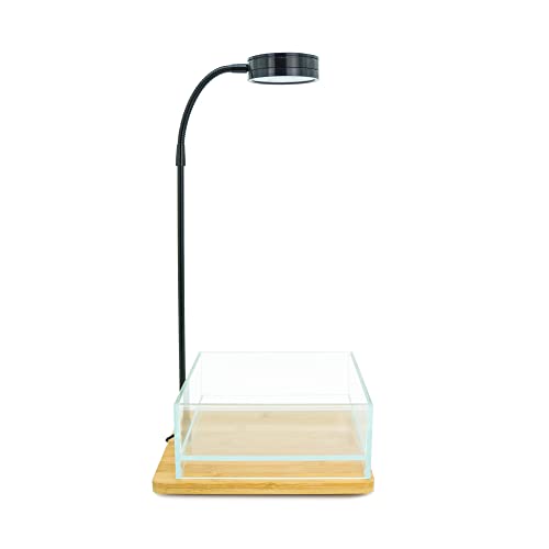 Hiro Aquatics Mini Shallow Rimless Glass Tank With Full Spectrum Led Aquarium Terrarium Led, For Wabi Kusa, Desktop Terrariums, Indoor Plants #TOP1