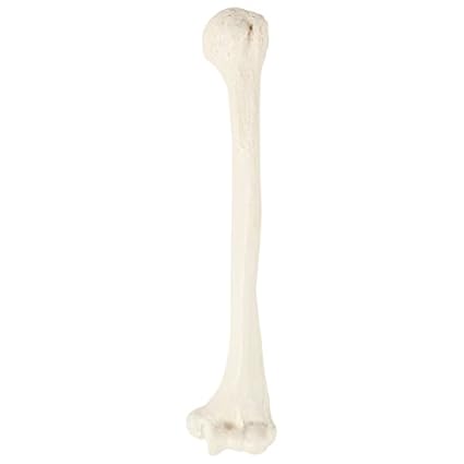 Image of 616316879409