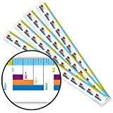 EAI Education Fraction Ruler - Set of 10 : Amazon.com.br: Papelaria e ...
