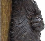 Willie Black Bear Paper Towel Holder Rack for Free Standing on Counter or Table (Great Kitchen Decor) 14"