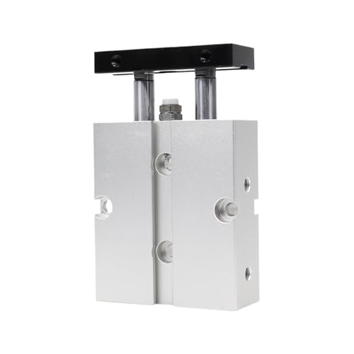 Cylindre double axe TN32 anti-rotation avec course de 20mm stable - 2