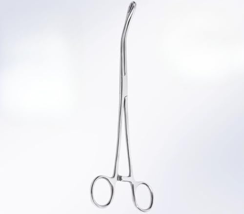 ×pXeXNvNvpo@~}NvX|WNvΔNv܂ (25cm,tȂ)