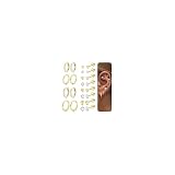 Scelta Regalo Perfetto: Ipoallergenico e confortevole set di orecchini in oro sono adatti per le donne e gli uomini. Set di orecchini donna a cerchio con borchie a cartilagine helix con confezione regalo danity, regalo meraviglioso per il tuo amico o la tua famiglia a Natale, compleanno, festa della mamma, laurea, San Valentino, Capodanno, festa, ecc. Esprimi il tuo amore più sincero a loro!