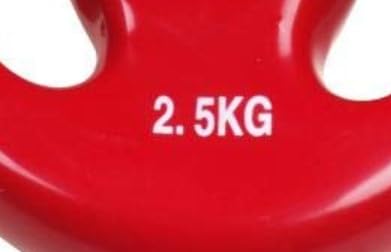 Trendy Sport Vinyl weight plate - Pesos Aperto - 2.5 KG - Image 2