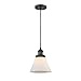 Innovations 201C-BK-G41-LED LED Mini Pendant, Matte Black