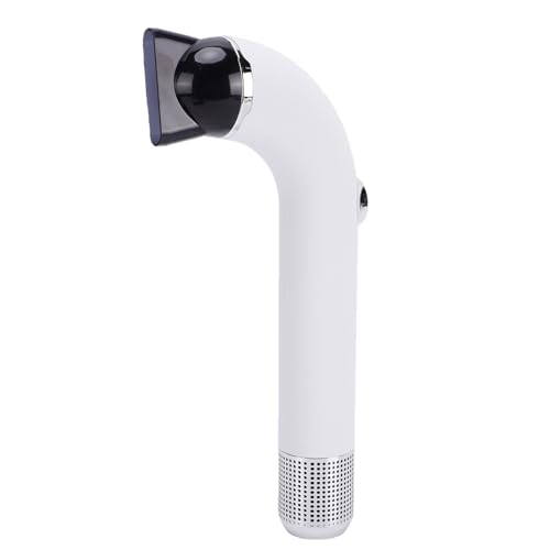 Luocute Secador de Pelo Inalámbrico de Temperatura Constante, 110000 RPM 300 W Secador de Pelo Recargable con 6 Piezas 2600 MAh Batería Tipo C Carga para Viajes Camping (WHITE)