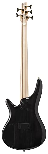 Ibanez Sr405Epbdx Standard 5-String Bass Tropical Seafloor Burst #TOP2