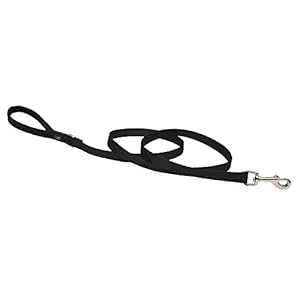LupinePet Basics 1/2″ Black 4-foot Padded Handle Leash for Small Pets