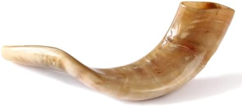 Traditional Shofar from Israel, Jewish Natural Musical Instrument, Clear Sounding Authentic Horn Shofar, Beautiful Sounding Shofar, Polished Ram Horn Shofar (10"-12")
