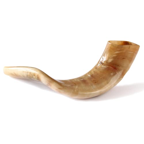 Nana Gifts Authentic Ram Horn Shofar from Israel, Clear Sound, Polished, Beige, 14''-16''