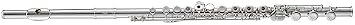 JFL1000RBO Intermediate Flute