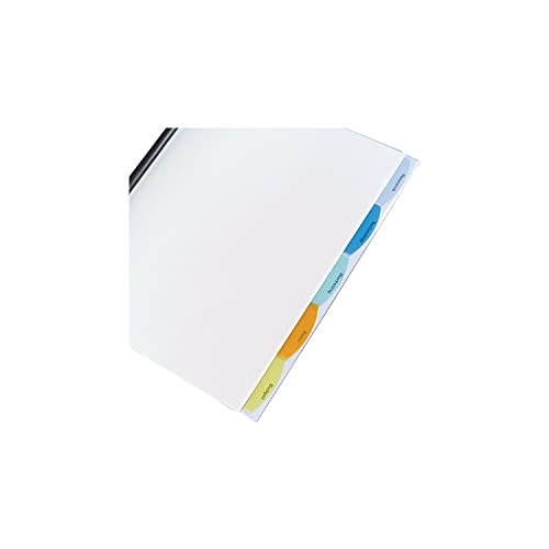Wilson Jones Report Cover, View-Tabs, 5 Tabs, Punchless, 20 Sheets, Clear (W55766)