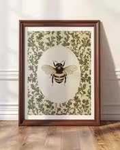 Affiche botanique abeille pour créer un salon art de jardin rustique