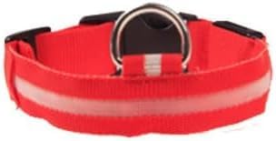 Super reflective light up rechargeable LED dog collars, 5 options in 3 sizes. Adjustable