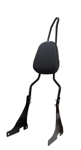 Dossier passager moto amovible avec coussin de dossier arrière Sportster XL 1200 883