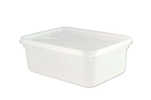 packpack 2 Litre Rectangular Ice Cream/Salad Container (40)