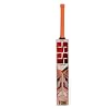 SS Tiger English Willow Cricket bat, Full Size - Adult Size and Short Handle