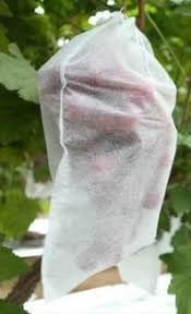 Non Woven Fruit Protection Bags | Reusable Mesh Net with Drawstring | Breathable, UV-Resistant & Eco-Friendly | Insect & Pest Cover for Fruits, Vegetables, Garden & Farm |6.5"x9" 25 pcs-image-12
