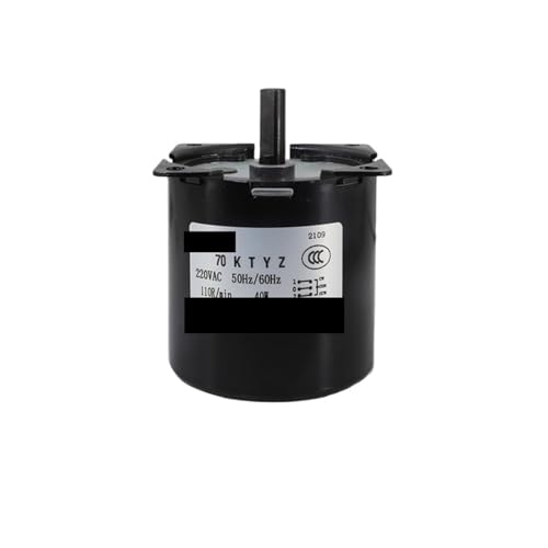 Moteur synchrone AC 220V anti-blocage pour charges lourdes 160KG