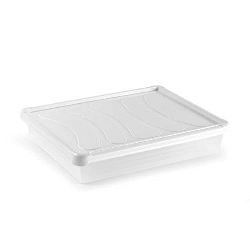 Acan Tradineur - Pack de 4 bandejas frigoríficas de Almacenamiento con Tapa, plástico, Reutilizables, Servir Comida, Aperitivos, Fabricado en España - 4 litros - 35 x 27 x 6,5 cm – Blanco